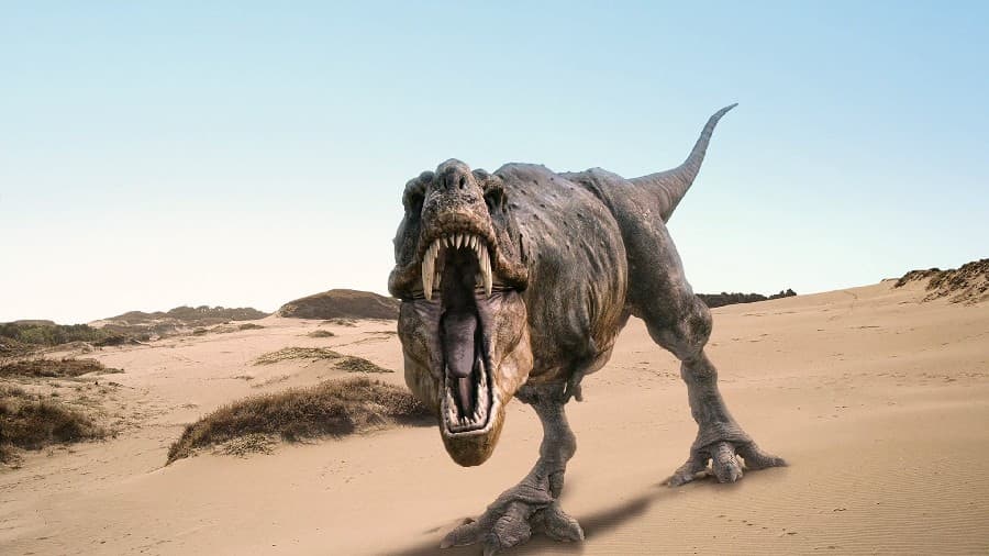 Исследование возвращает палеонтологов к давней дискуссии. Был ли тираннозавр настоящим хищником или падальщиком?